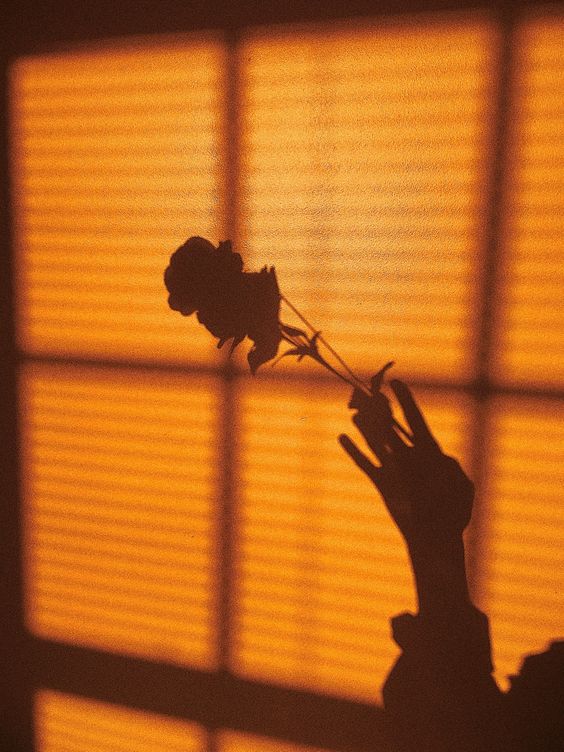 Johnetblack's tweet photo. ☆ 𝐈'𝐦 𝐚𝐭 𝐚 𝐩𝐚𝐲𝐩𝐡𝐨𝐧𝐞 𝐭𝐫𝐲𝐢𝐧𝐠 𝐭𝐨 𝐜𝐚𝐥𝐥 𝐡𝐨𝐦𝐞, 𝐚𝐥𝐥 𝐨𝐟 𝐦𝐲 𝐜𝐡𝐚𝐧𝐠𝐞 𝐈 𝐬𝐩𝐞𝐧𝐭 𝐨𝐧 𝐲𝐨𝐮. ☆ https://t.co/bS7bgdBNNT