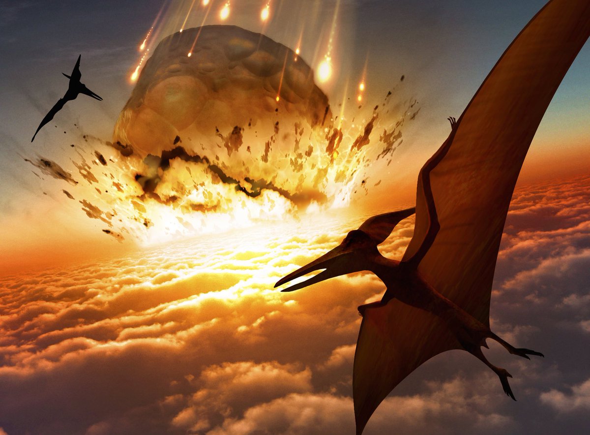 zamirmohyedin's tweet photo. Dinosaur pupus sekitar 66 juta tahun lalu. Hipotesis popular kepupusan ini disebabkan hentaman asteroid sebesar 10 km —15 km (lebih besar daripada gunung Everest). Hentaman ini menghasilkan tenaga bilion kali lebih kuat daripada bom atom yang pernah meletupkan Jepun.

#TriviaZM https://t.co/L30w3XLsYT