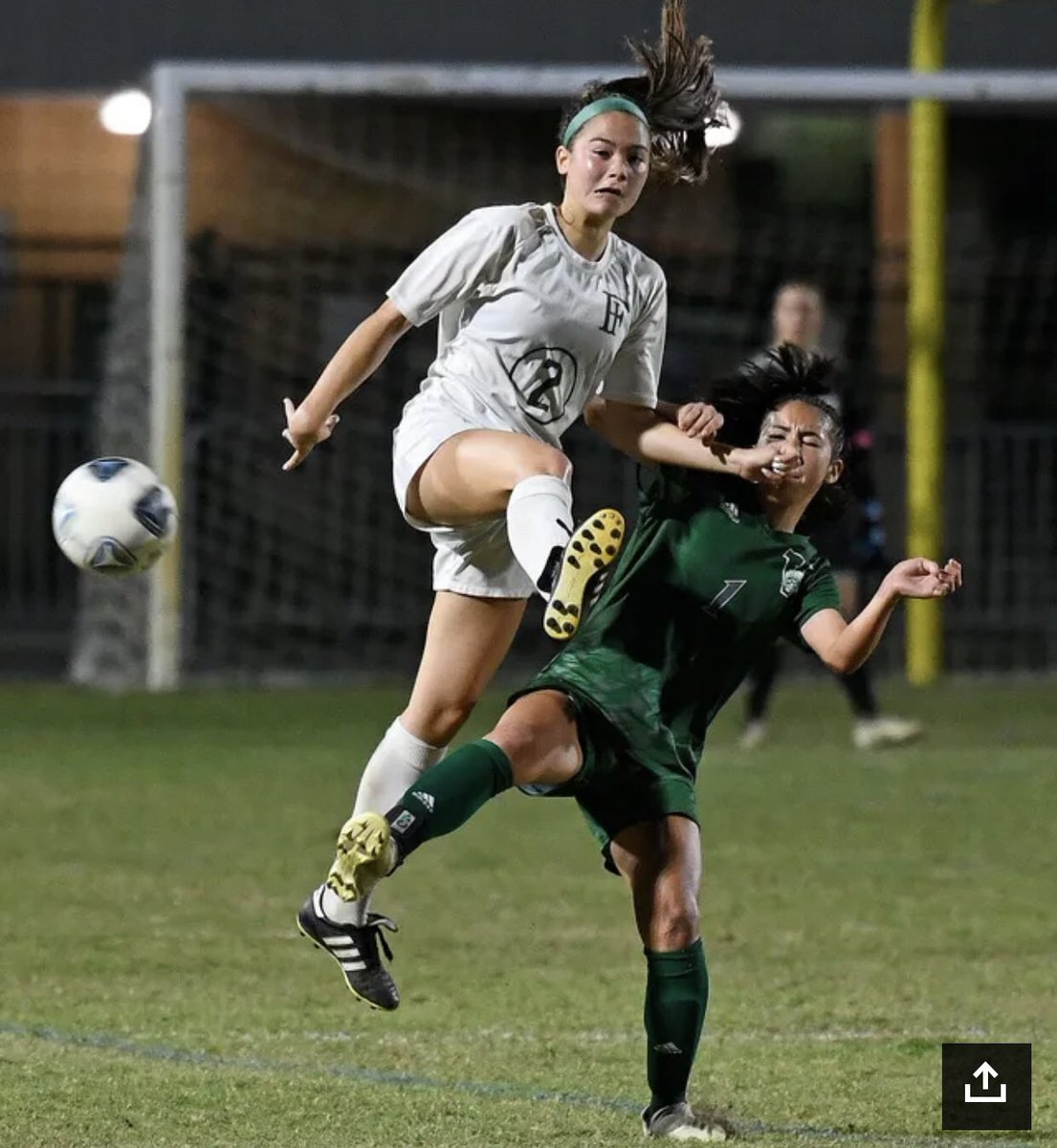 tbenderphoto1's tweet photo. #HTPhotoGallery #PHOTOS #VeniceIndians Wins the Class 6A state semifinal over #FlemingIslandGoldenEagles
@FHSAA @VHSIndianSports
#ReadAllAboutIt @HeraldTribune
ππΌππΌππΌππΌππΌππΌππΌππΌππΌππΌππΌππΌ
#SubscribeNowForTheTotalPackage!
https://t.co/9Rl9ogmPP5 https://t.co/L7EpH0qQLs