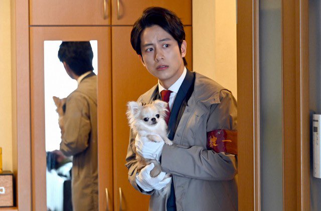 天国と地獄八巻が抱いてた犬チワワは 名女優犬 だった ぐっみーのトレンド