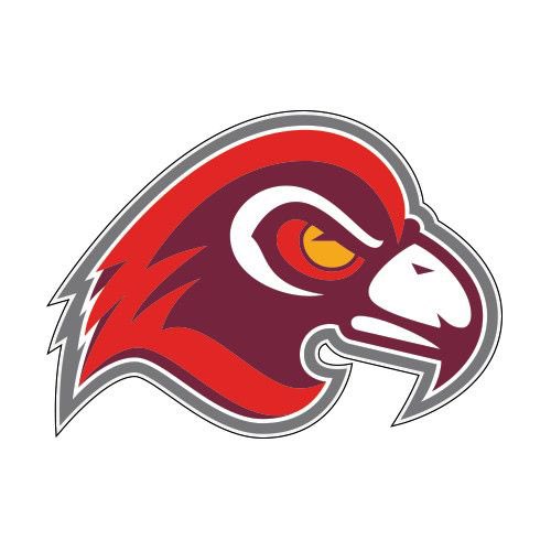 FasanoIan's tweet photo. just want to start off thanking my mother, my rock who has been there for me since i was born. my coaches Mr Fazekas, Eray, Mr Hutter, all of you guys for pushing me knowing the talent and potential I have. extremely excited to become a falcon and get tocall fairmont my new home! https://t.co/1YHg1PJAPX