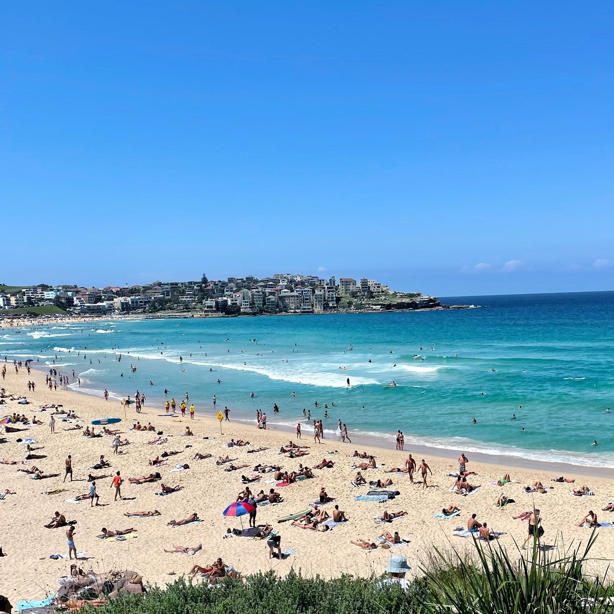 Horror1403's tweet photo. #happyplace #bondi #Sydney #notmelbourne https://t.co/JafkGc762u