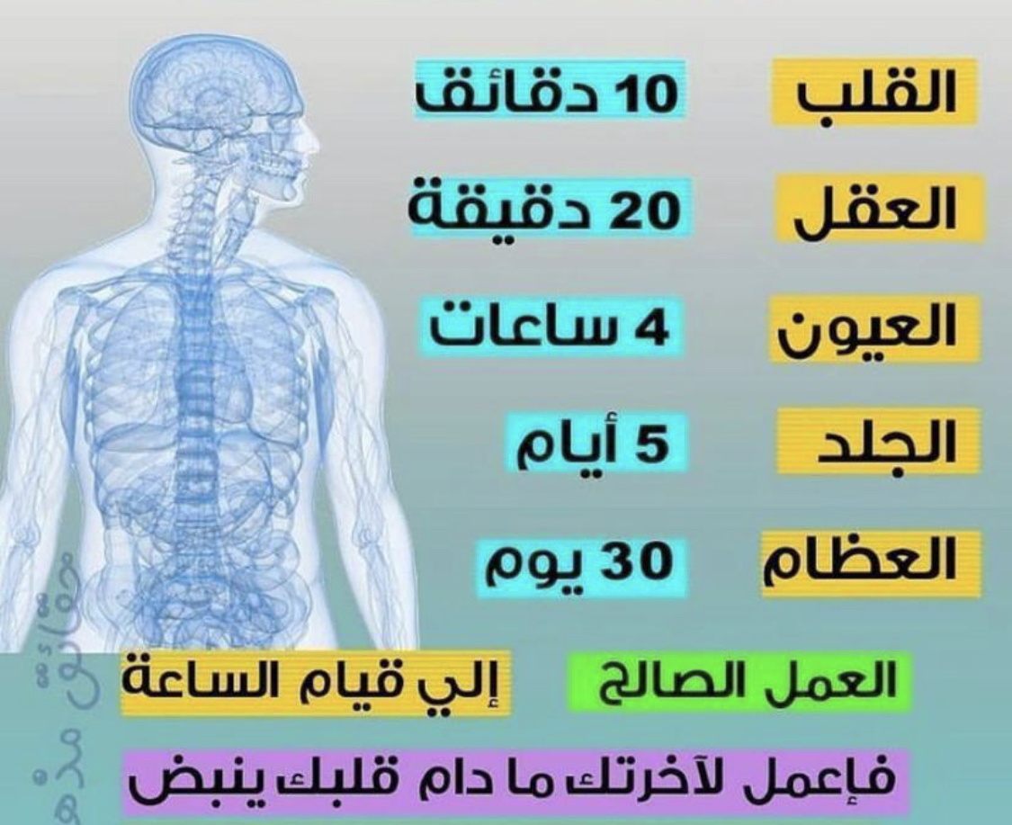 هل تعلم ما هي الاشياء التي تبقى حية بعد موت الأنسان ؟