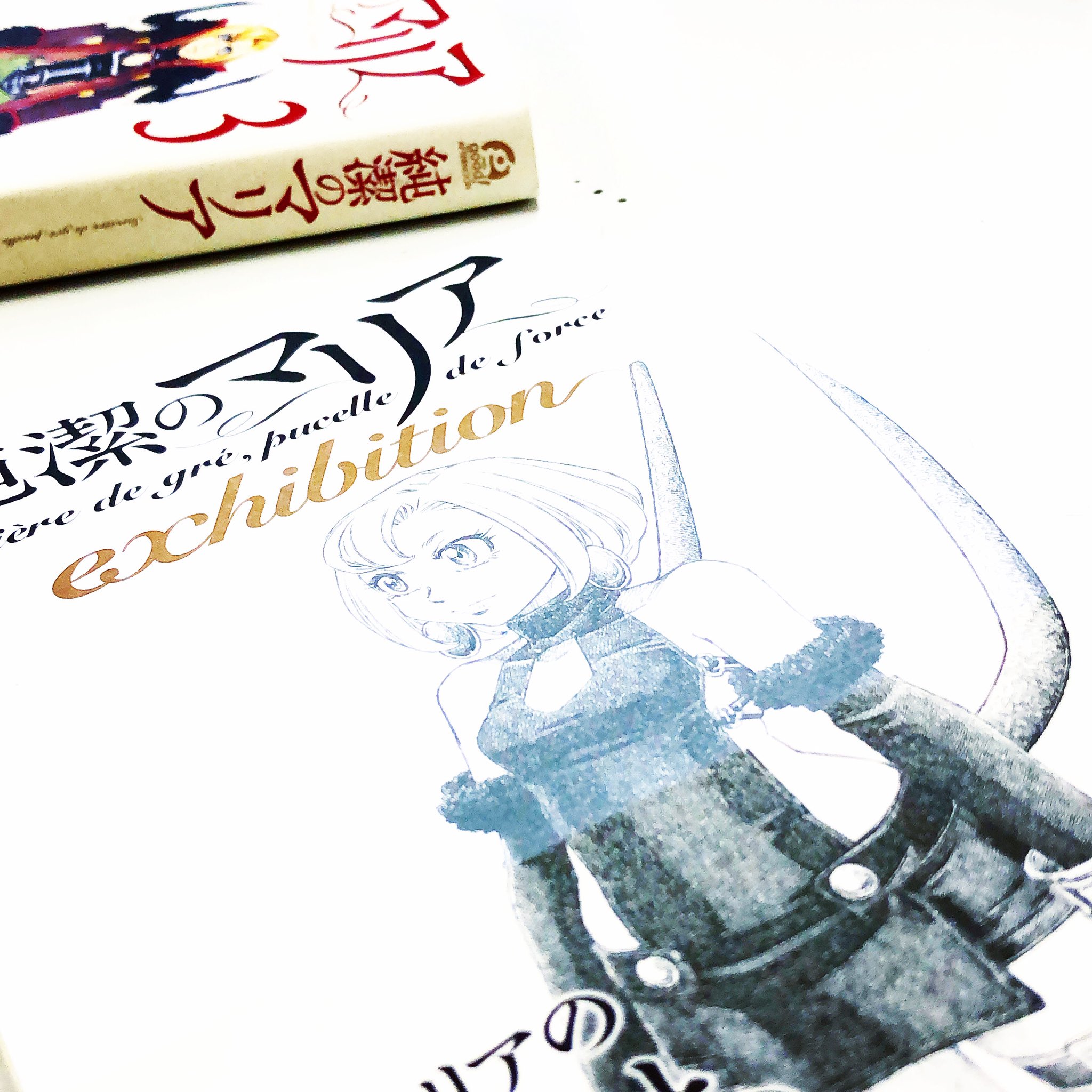 漫画林 札幌マンガ古本屋 入荷案内です 石川雅之さんの 純潔のマリア が 入りました 石川雅之さんのコーナーにあります 漫画 Comic まんが マンガ 漫画林 Mangarin Manga Comics Comicmagazine 少年漫画 青年漫画 少女漫画 Sapporo