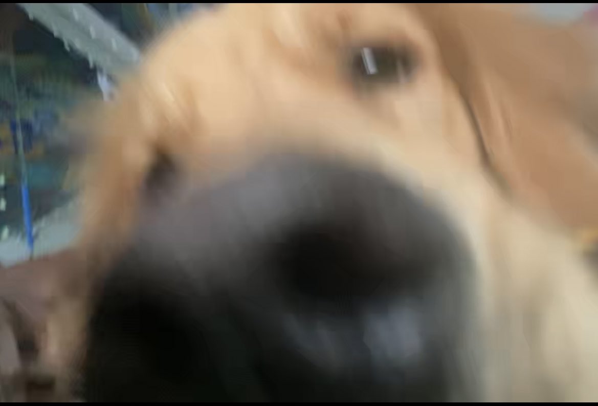 Not to late to catch this weeks episode 🥰
youtu.be/5w6XSh3ZmQc