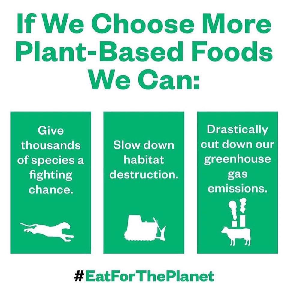 #Eatfortheplanet #plantbased #plantbaseddiet #healthydiet #healthy #vegan #vegetarian