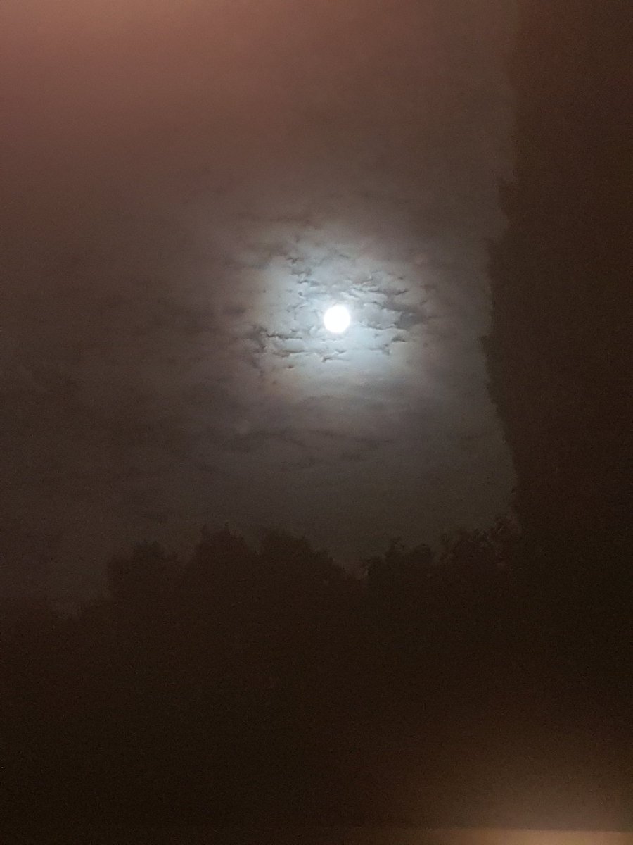 Gabriela Azar tweet media