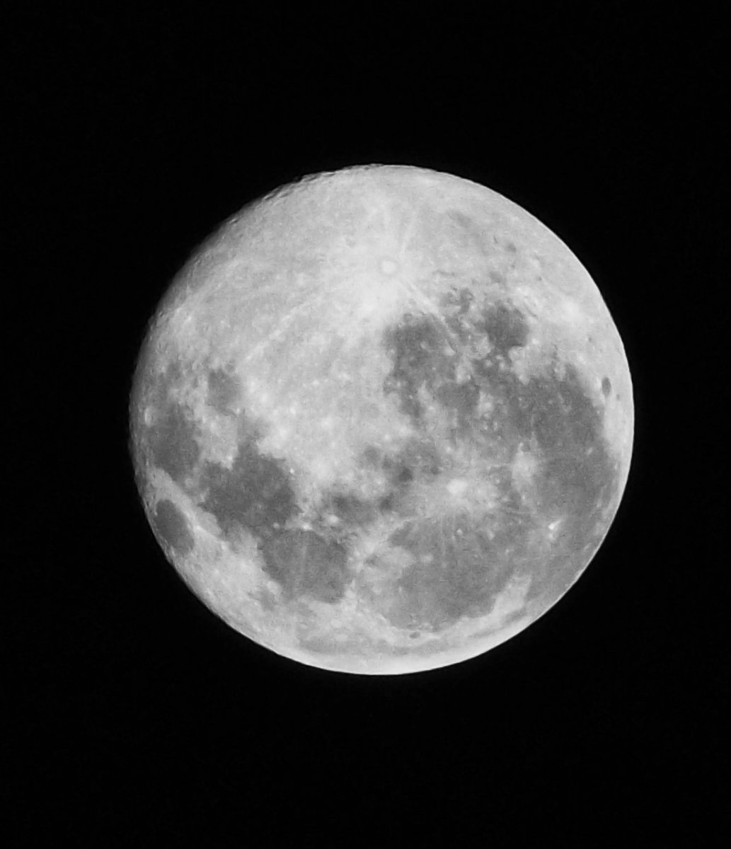 lefalipe's tweet photo. Mi luna!!! Hermosa!!! https://t.co/poSD94ytqk