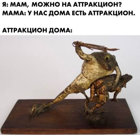 EvSoND9XEAETc34?format=jpg&name=small