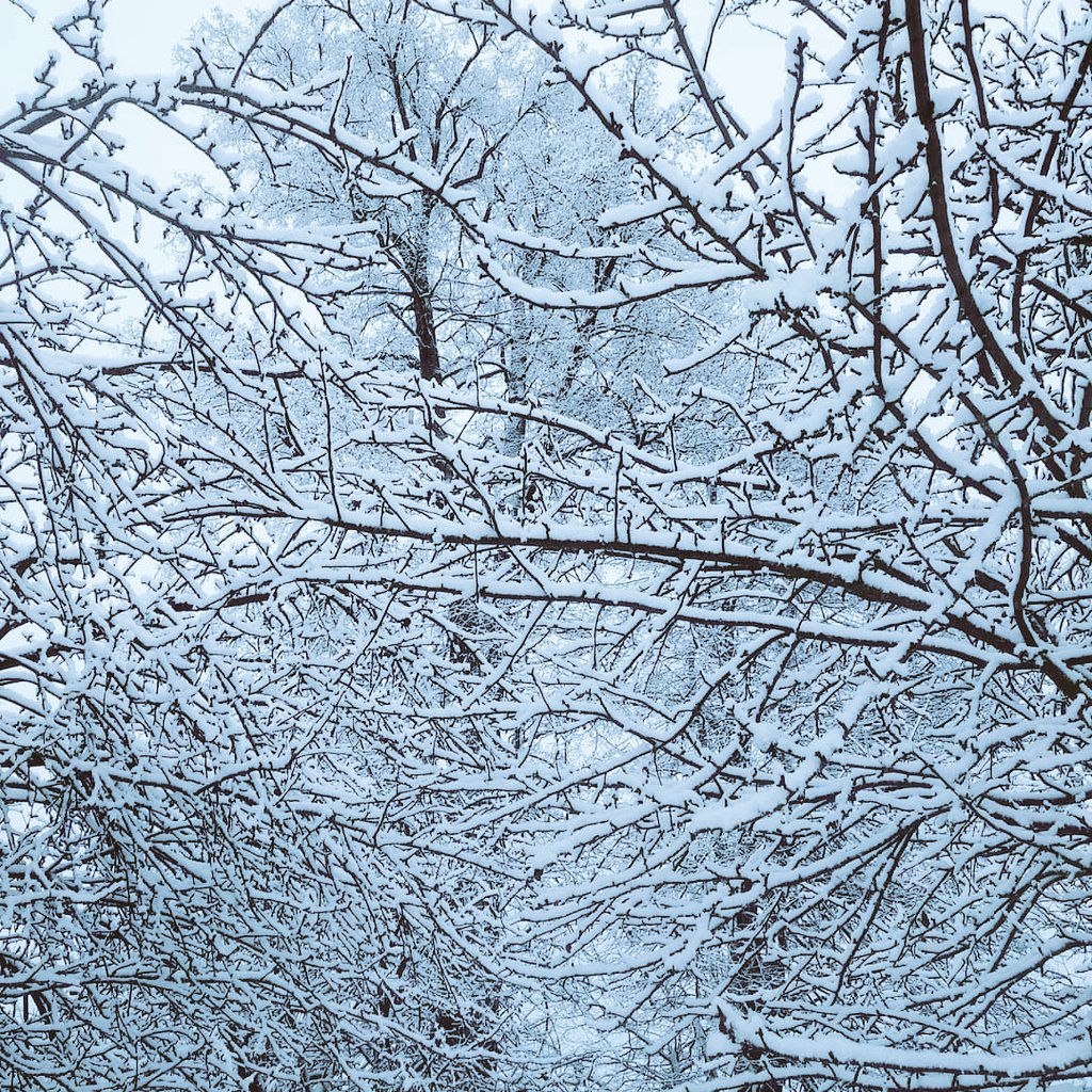 alexgen0359's tweet photo. Happy Sunday ❄️🤗❄️
#snowfall #SnowHour #Weather #soonSpring #village
Have a nice weekend everyone 👍❤️😊 https://t.co/UdlDuSkEXa