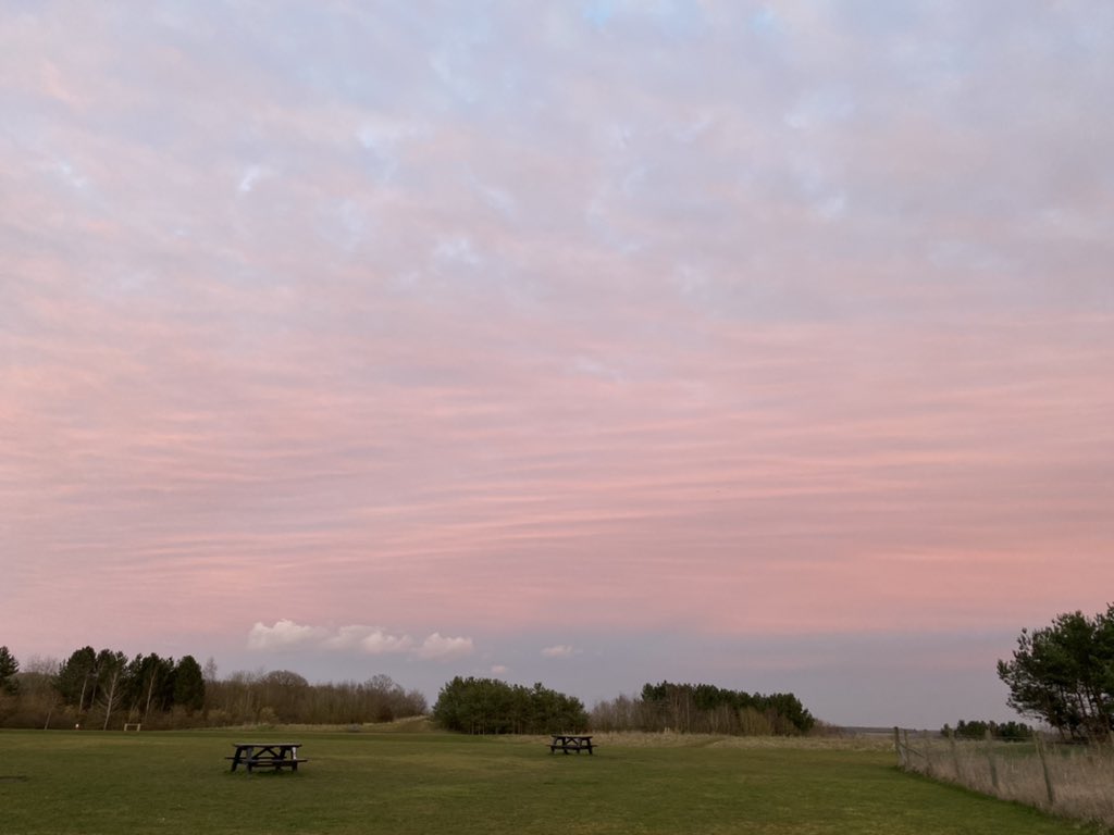 Happy Sunday everyone. ☀️