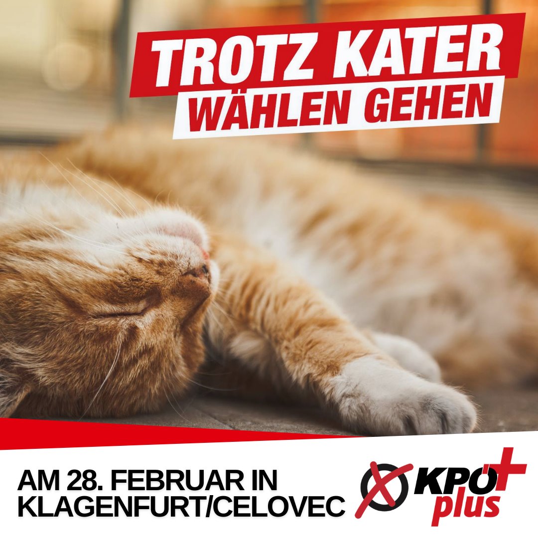 kpoeplus's tweet photo. Heute: ❌ KPÖ PLUS für eine linke Stimme in #Klagenfurt / #Celovec.🚩✌🏾 https://t.co/YKAngWGceB