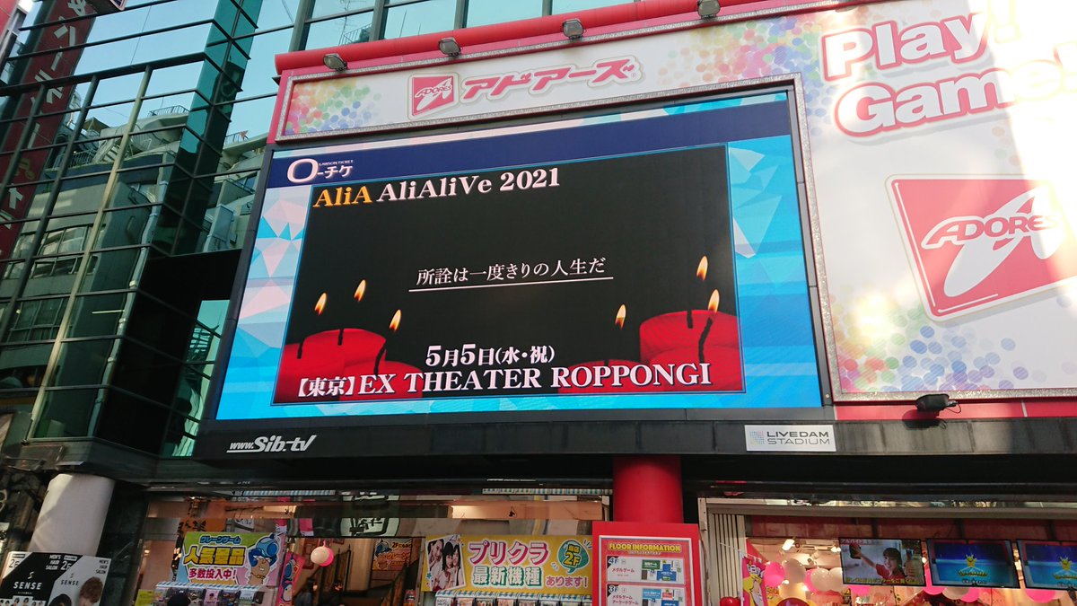 Alia アリア Official Alia Official Twitter Alia アリア Official Alia Official Twitter