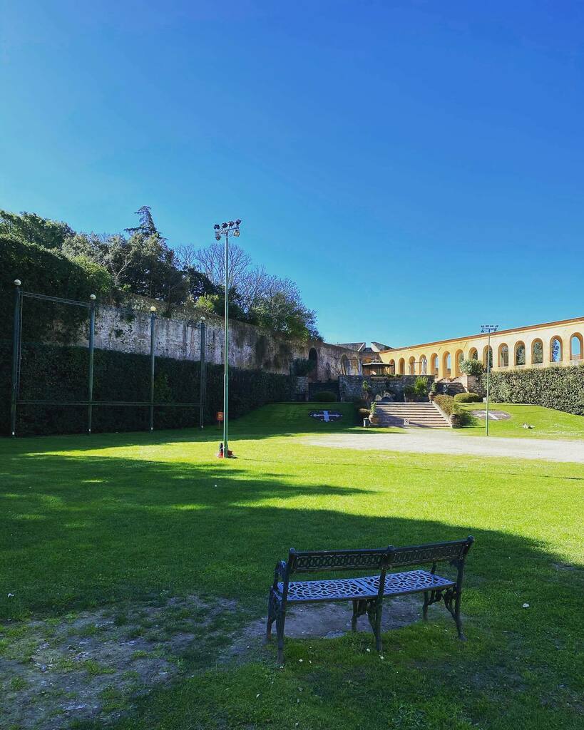 Instagramers Pisa tweet media