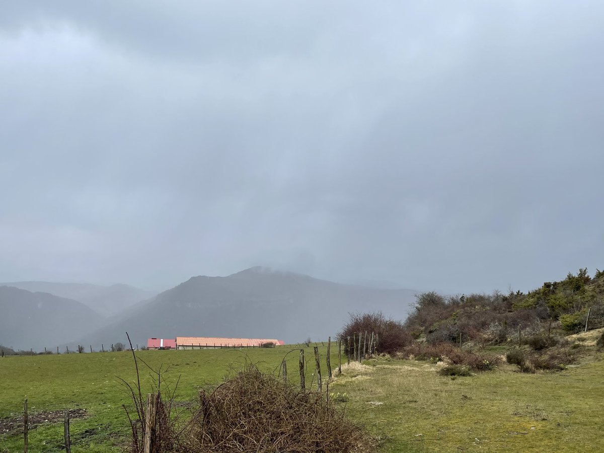 ElTiempoNavarra's tweet photo. El chubasco que ha entrado a #Navarra por la provincia de #Zaragoza via #ValleDeRoncal y #ValleDeSalazar atraviesa ahora el #ValleDeAezkoa , lo vemos en la imagen desde el deposito de aguas de #Hiriberri #VillanuevaDeAezkoa 1005 metros
Ha dejado algo de #Granizo menudo https://t.co/68sJfSbNsr
