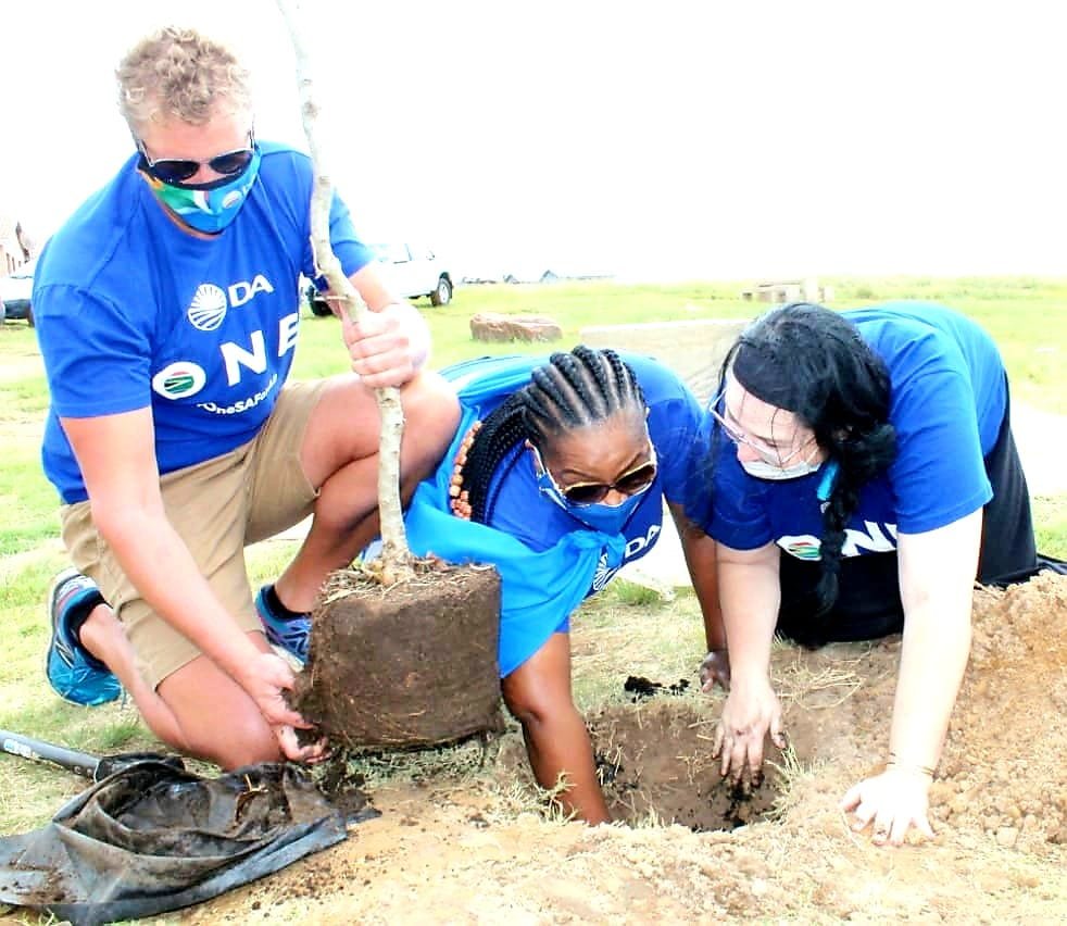 CapricornFMNews's tweet photo. The Democratic Alliance in Mpumalanga has launched a #TreeCampaign in Middleburg on Saturday in a bid to fight climate change. DR
📷Supplied https://t.co/sSFg4J2mZF