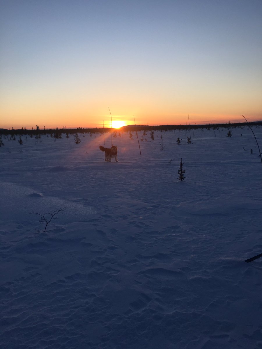 Debbie Clarke tweet media