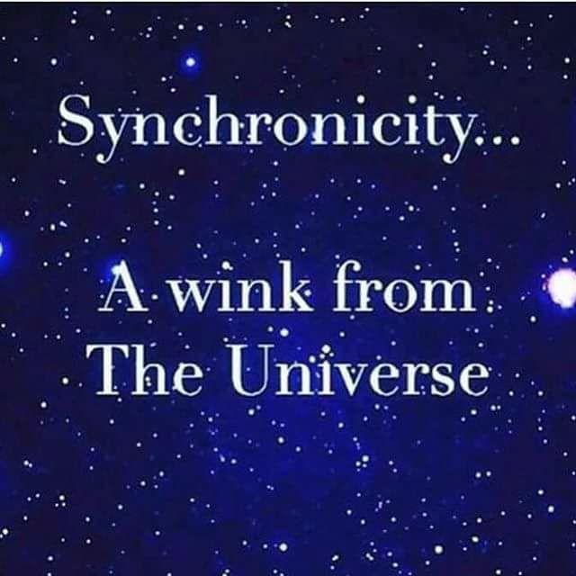 EvaJean2026's tweet photo. TEDx - 'Do You See The Signs Of The Universe?' https://t.co/yiwZOhvcsh https://t.co/UAE7qNJtdj