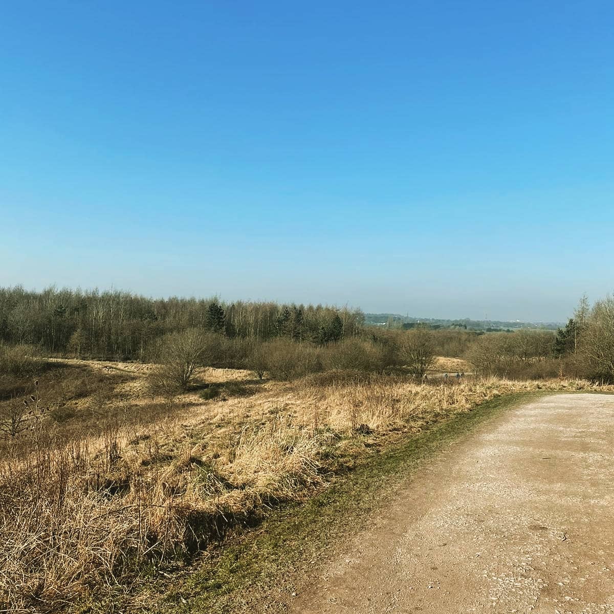 ShopAdelante's tweet photo. Sunday morning woodland walks.
#SpringIsComing #woodlandwalk
#enviroment #forrestbathing #forrest #nature #mentalhealth https://t.co/Ze4vRUnZgt