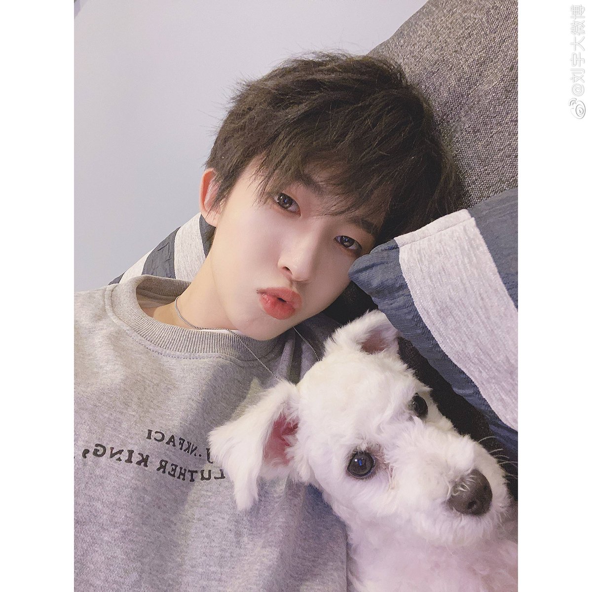 liuyuarchive's tweet photo. — thread of liuyu with mocha and other dog 🐶

#CHUANG2021 #LIUYU #刘宇 https://t.co/90RwH7bPbW
