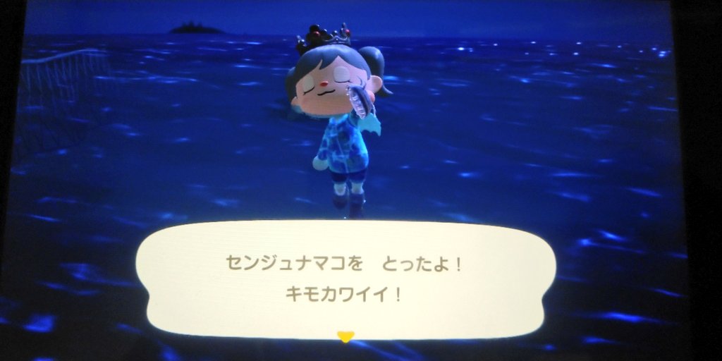 鷹ノ目 あつ森では明日から現れなくなる海の幸 センジュナマコ 深海に生息するナマコの１種で 沢山の足と触覚が特徴的 このナマコを見てふと センジュナマコたん というキャラクターが思い浮かんでしまった 東方同人サークル Aqua Style が