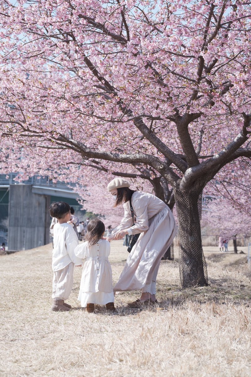 HiroroPhoto's tweet photo. 何気ない瞬間を。
音が聞こえる写真を撮りたい。
#東京カメラ部 #河津桜 https://t.co/dQHh66qd1H