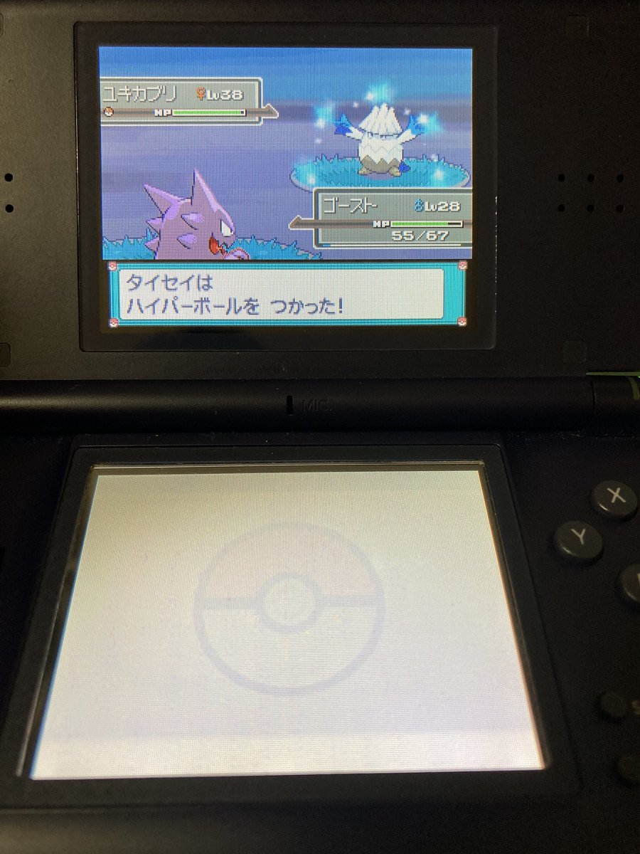 ポケモンgo ポカブの色違い 入手方法と実装状況 攻略大百科 ポケモンgo ポカブの色違い 入手方法と実装状況 攻略大百科