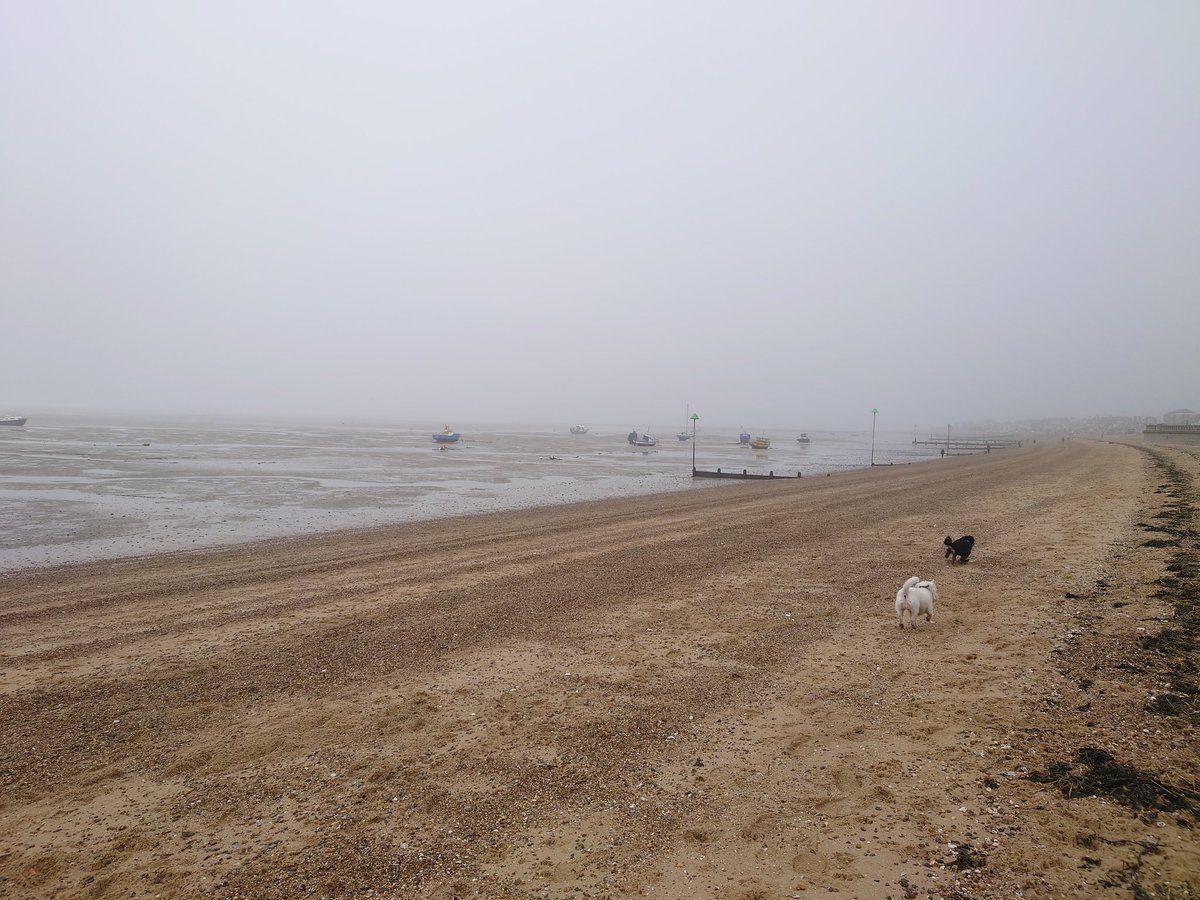 It was a bit misty on our walk today... we could barely see the pier! 🙈☁️ #mistymornings #dogsoftwitter