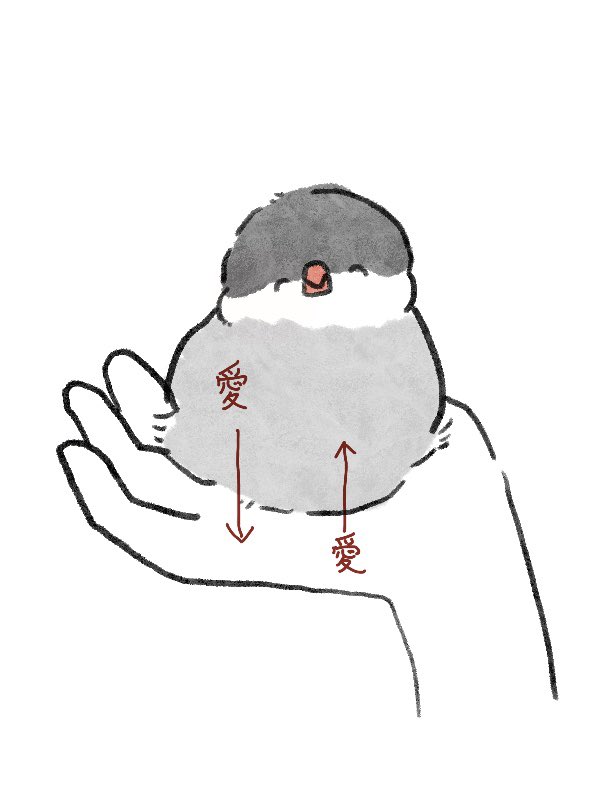 koguma_kanoko's tweet image. 絶え間なく注ぐ愛の名は文鳥