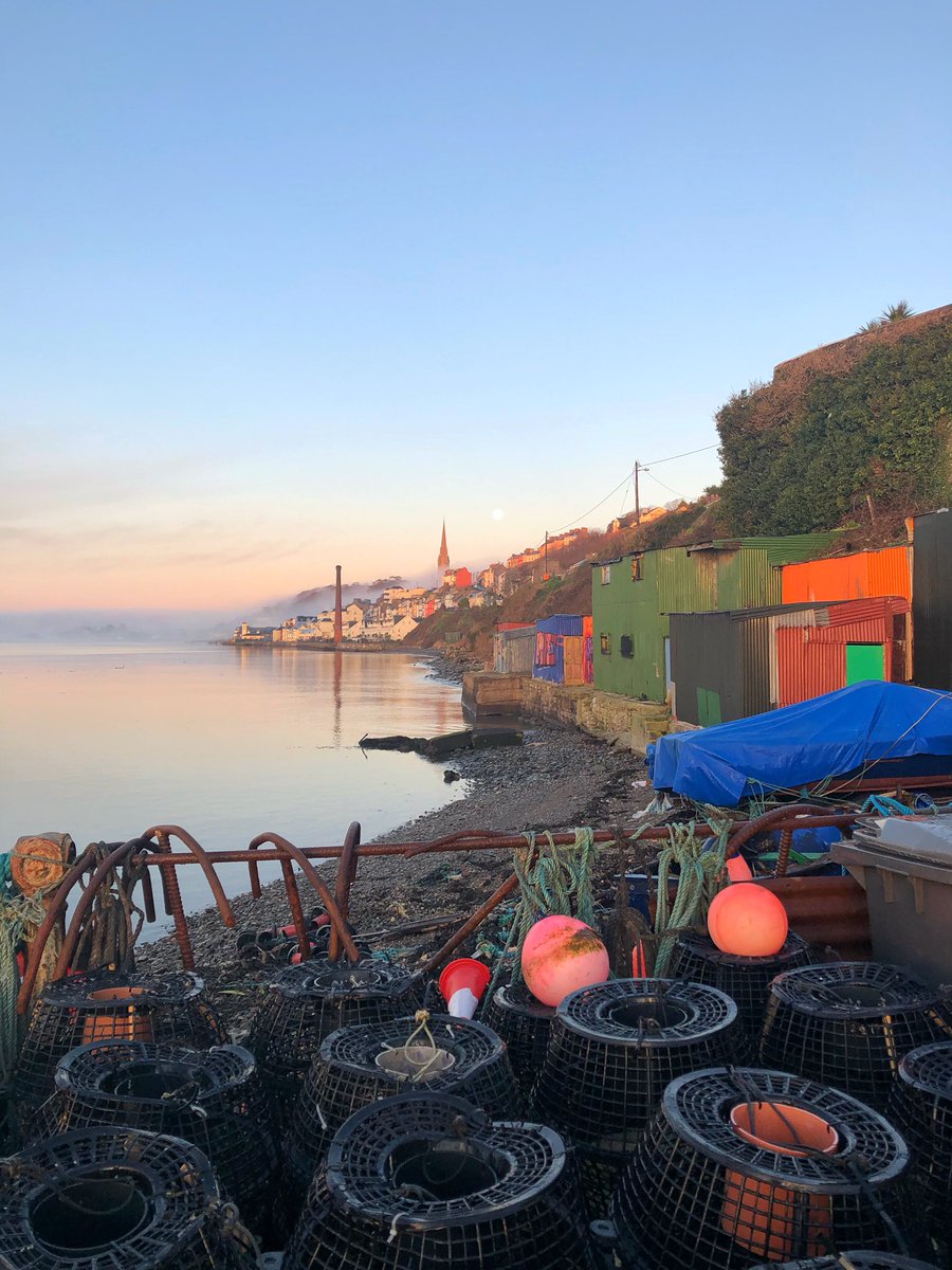 Bernie Carney tweet media