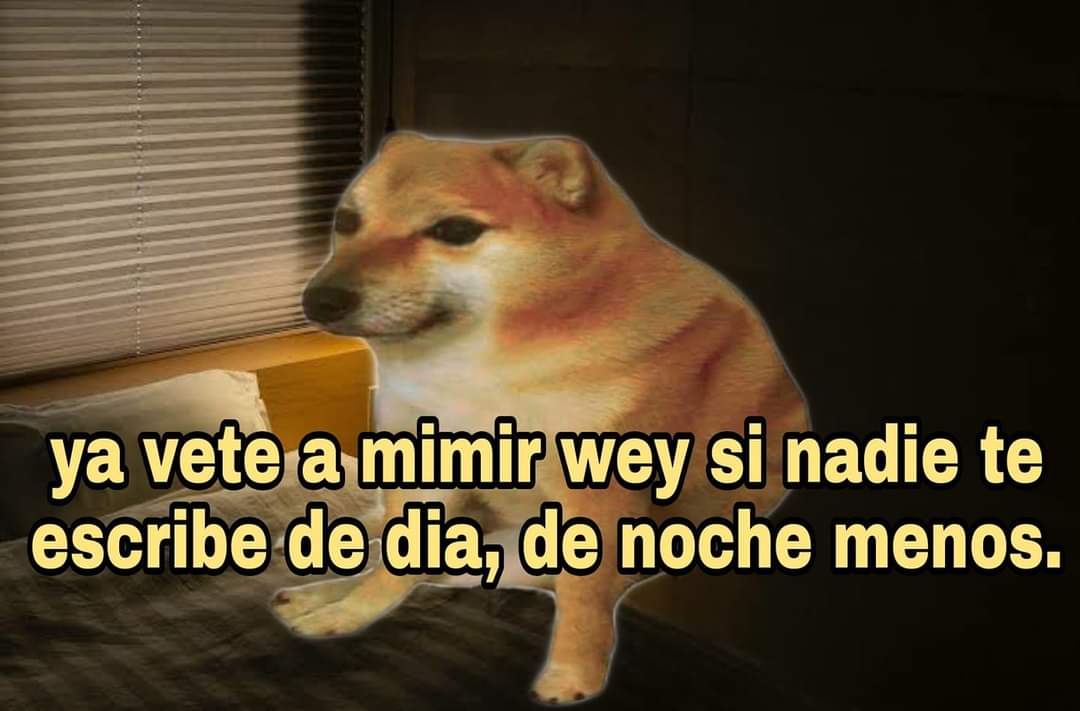 AlexCVJ's tweet photo. Buenas noches. https://t.co/oDBINbx81g