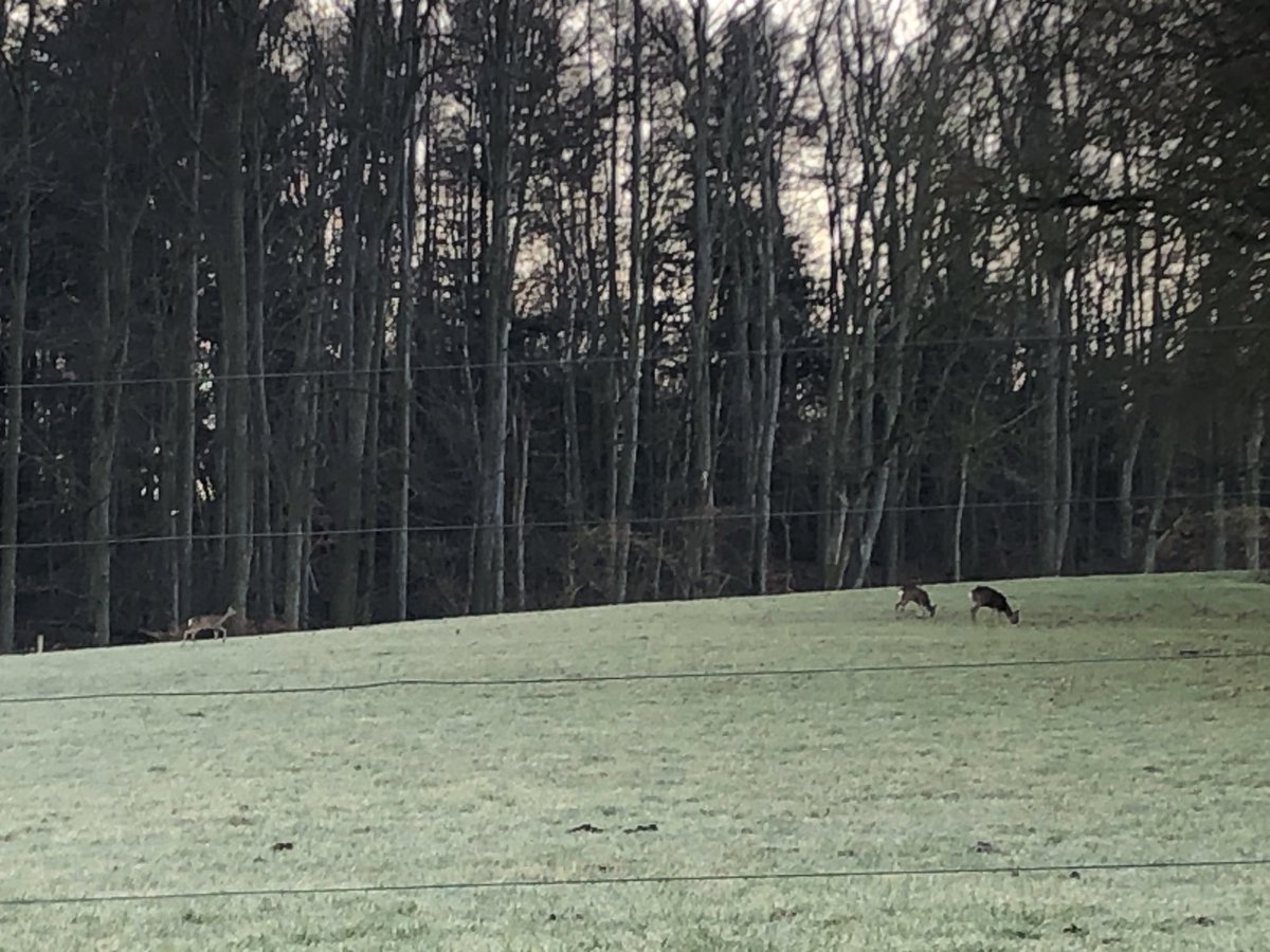 LeonPlla's tweet photo. Omdat bewegen loont #hardlopen#mooieplaatjes #genieten https://t.co/3hdyysyDhd