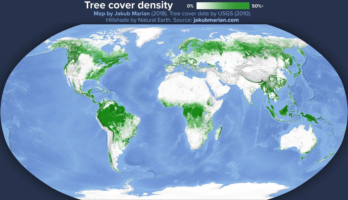 Площадь самого большого леса в мире. Карта лесов планеты.