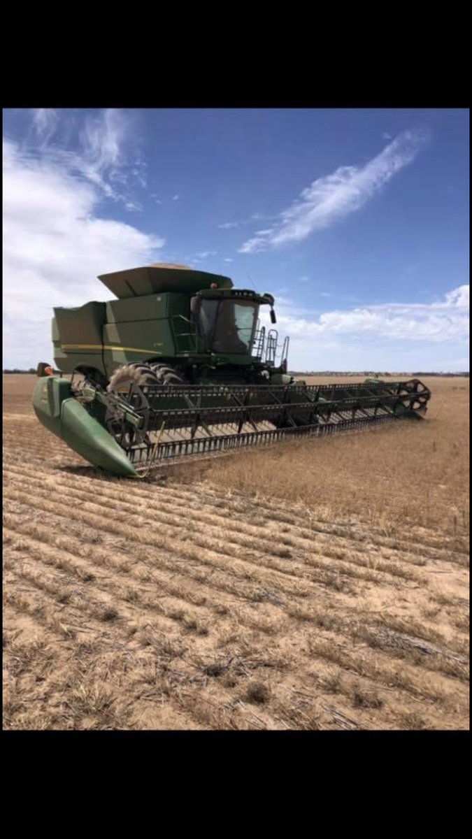 Frano Serredella Seed For Sale.        The New Cultivar of French Pink Serredella.
Licensed to Sell.                                   $14/kg + gst                                        Available in a week or so.                   Purity and Germination Test available soon.