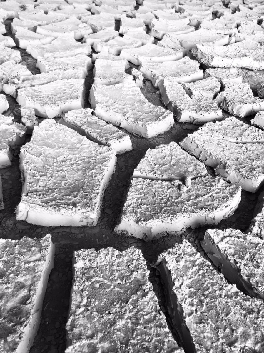 oman_picture's tweet photo. الصورة رقم 3️⃣5️⃣

📍 الجفاف.. صحار /فلج القبائل
📸 حليمة الانصاري

مسابقة_أجمل _صورة _من _عُمان https://t.co/PJnWinvv0E