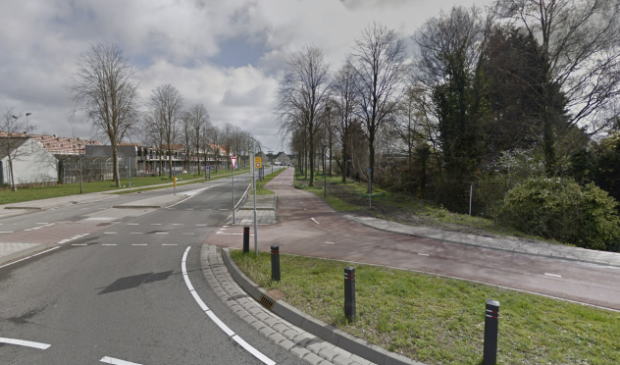 HartvanHolland's tweet photo. Lindes op Parklaan krijgen andere plek -  https://t.co/wwG4jpsrWS https://t.co/2sjDSBZngd