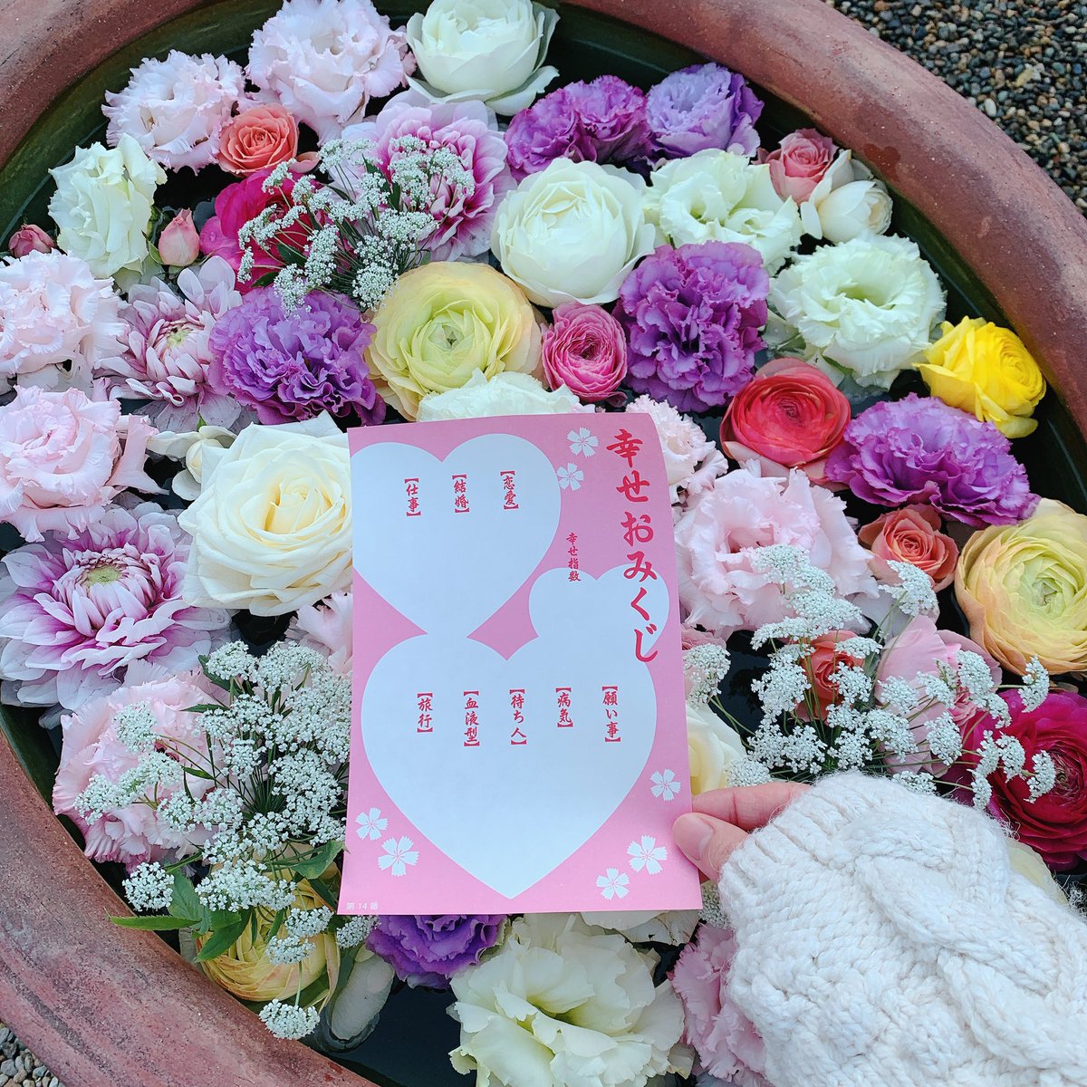 水みくじ Twitter Search Twitter