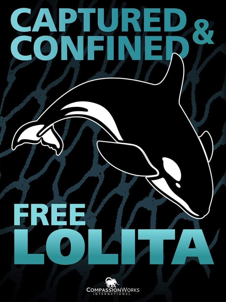 MegumiMatsuda3's tweet photo. @janischshane #FreeLolita
#CrueltyKills
#EmptyTheTanks
#DontBuyATicket
#NotForOurEntertainment https://t.co/j6usirZVP2