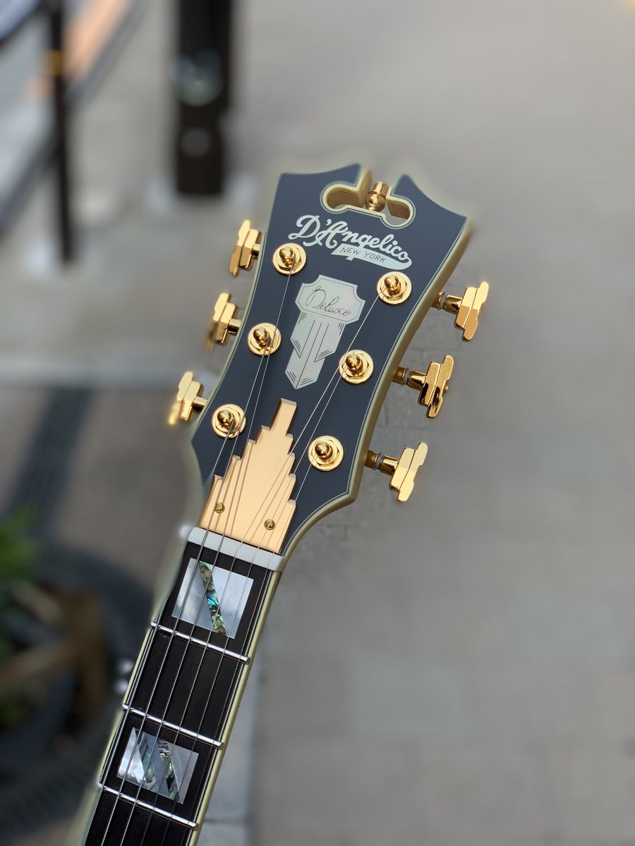gakkicenter's tweet photo. ディアンジェリコ「Deluxe Ludlow 」の限定モデルMatte Wineカラーです🍷
#dangelicony #dangelicoguitars #dangelico #ebonywood #setthru #seymourduncan #sethlover #headdesign #newyork #deluxludlow #neosoul #ディアンジェリコ #ラドロー #ネオソウル https://t.co/C7QgZSRQG8