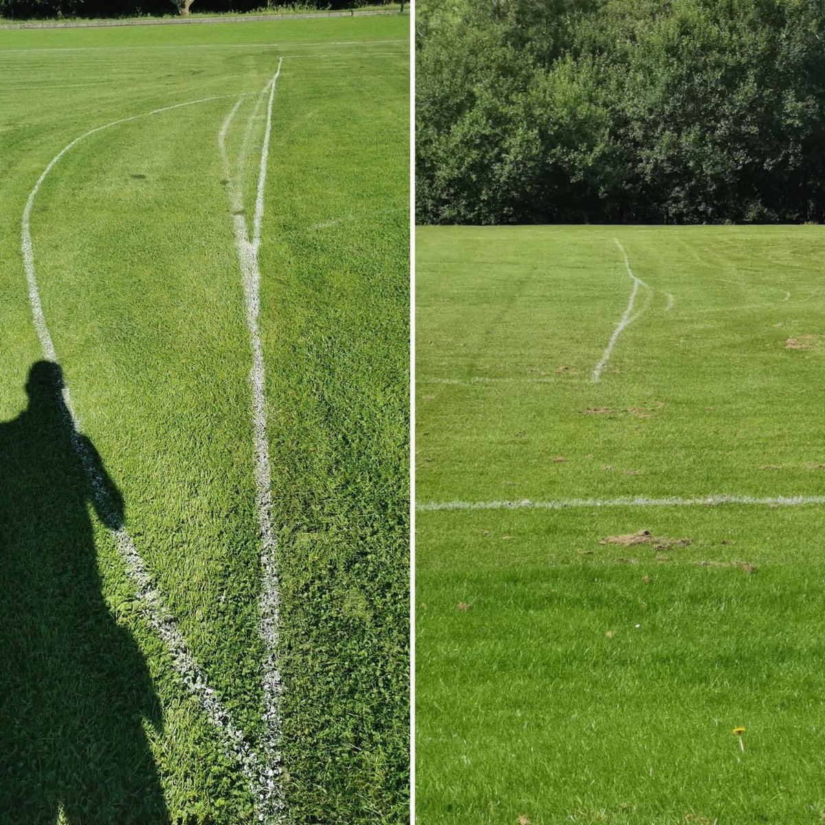 Grassroots tweet media