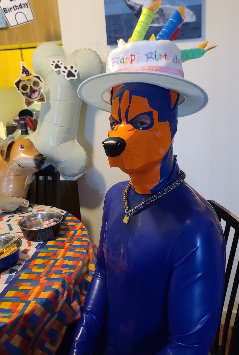 Puprokruff's tweet photo. CELEBRATED Helms Birthday Today. To bad we couldn't invite all of our friends.. 
BUT NEXT YEAR WERE GUNNA INVITE ALL OF OUR PUP FRIENDS https://t.co/CwHajhxTDQ