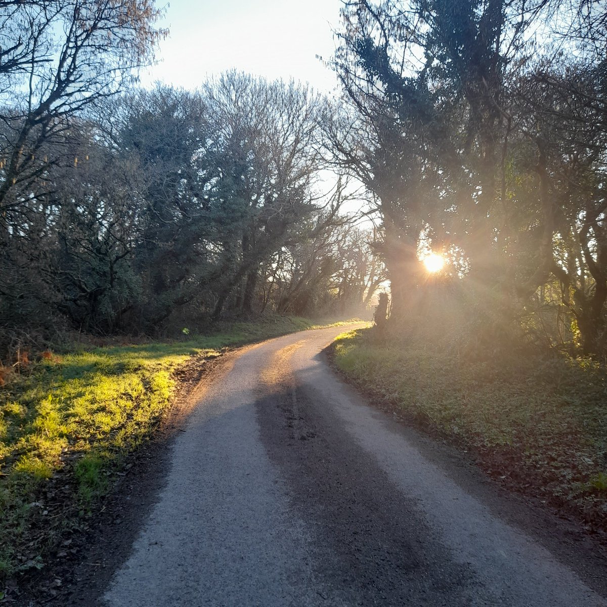 kittyupthecurt1's tweet photo. Beautiful way to start the day in #Cornwall! Just under 6 miles in moonlight and sunshine! Getting myself fitter for the London Marathon next year to raise money for @CatsProtection. Check out my #JustGiving page https://t.co/5CI8Q8pDYK #sundaylongrunday @CPCatChampions https://t.co/zcN8ZSCOmq