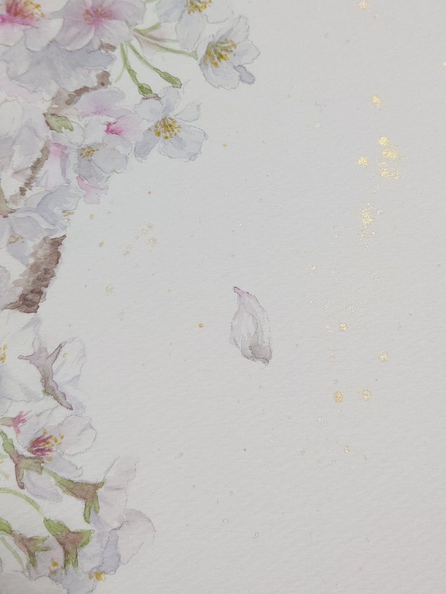 淡彩坊 桜 F4 対象物だけなのにお洒落 という絵にずっと憧れがあってチャレンジしてみたけど ショボくなるのがどうしても怖くてスパッタリングで誤魔化してしまいました でもその代わり 金色の絵の具を使って華やかさを演出する工夫を頑張りまし