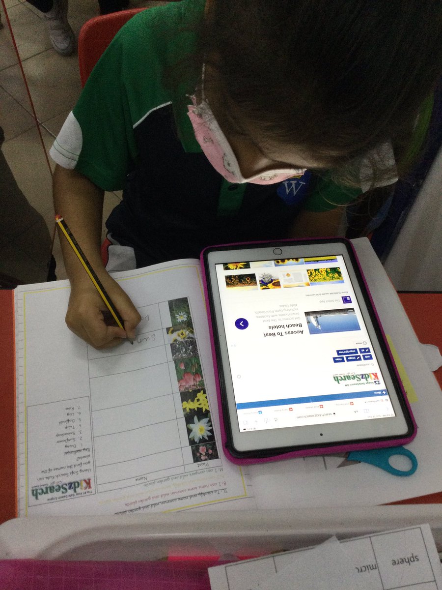 WPS_Year1's tweet photo. In #WPSScience we used #SafeSearchKids @SafeSearchKids to identify and name common wild and garden 🪴 plants 🌱 #selfmanagers https://t.co/5Q1Lo4q5b0