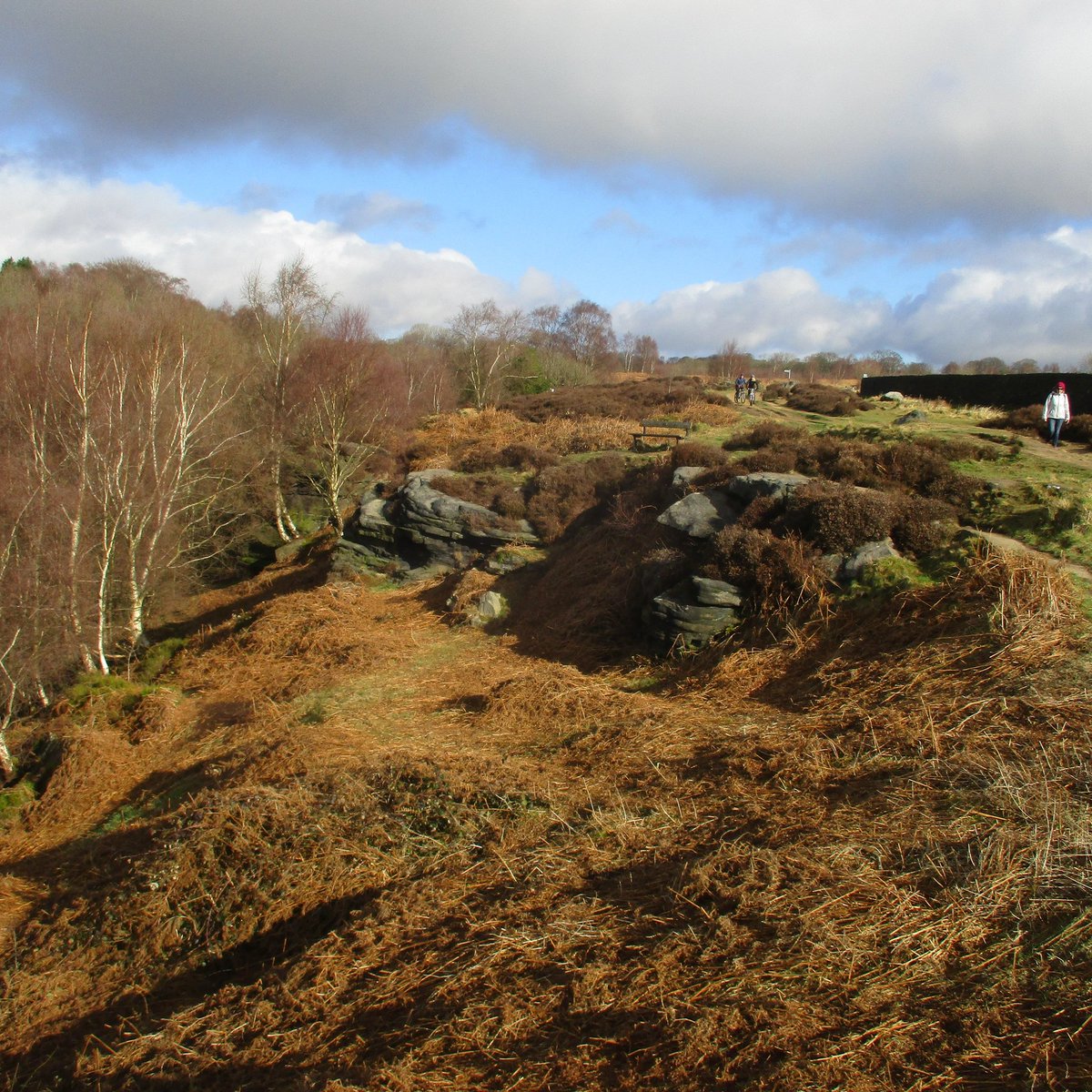 So lucky to have this on our doorstep. Shipley Glen is my go-to local walk. It's the first climb out of #Saltaire on A Dales High Way. #Appleby here we come - just another 89 miles of glorious #YorkshireDales and #Cumbria landscape daleshighway.co.uk