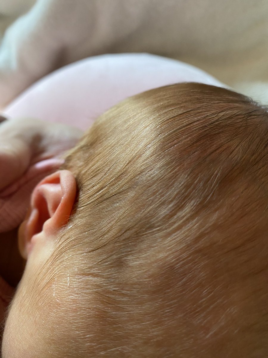 Kanako H 令和3年2月23日5時3分に第2子の娘誕生 誕生日とか産まれた時間とか色々奇跡 なんかめっちゃ金髪 みたいな綺麗な髪色のおじいちゃんみたいな顔してる お名前は梨々花ちゃんです 4人家族楽しみいっぱいだね