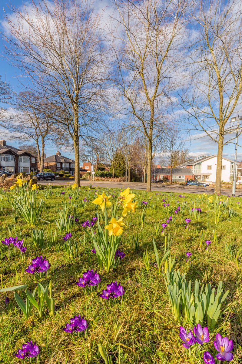 Spring flowers blooming <a href="/wbhospice/">Willowbrook Hospice</a> #Prescot
#charity #hospice #SpringIsComing #spring #crocus #daffodils #springday 
<a href="/loveprescot/">Love Prescot</a> <a href="/Beau_Liverpool/">Beautiful Liverpool City Region</a> <a href="/WBhospiceshops/">WillowbrookHospiceShops</a>