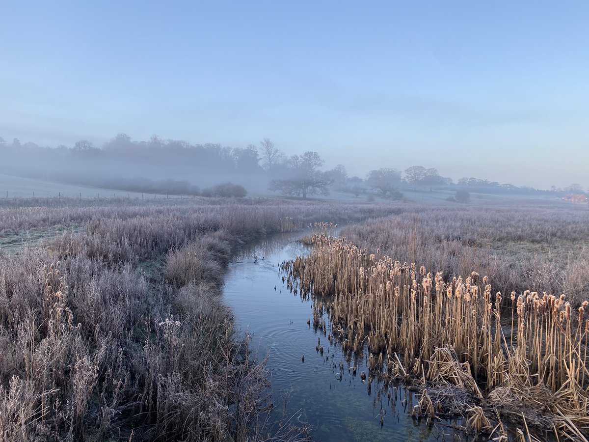 Lovely 10k this morning....don’t let the milder days fool you....it’s fresh out there....probably my favourite running conditions....frosty, misty and sunny...what’s your preference? ❄️🌞🌅🤔 <a href="/UKRunChat/">UKRunChat</a> <a href="/AllRunnersHere/">RunnersRus</a> <a href="/runr_uk/">Runr</a> <a href="/UKRunning1/">UK RUNNING®</a>