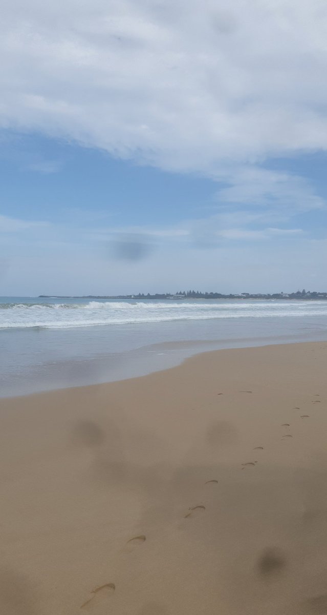 d_dzia's tweet photo. Our quite day today. Beach walks, reading by the pool and pizza. 😌 #roadtrip #australia #quiet https://t.co/R2aKaLyMoA