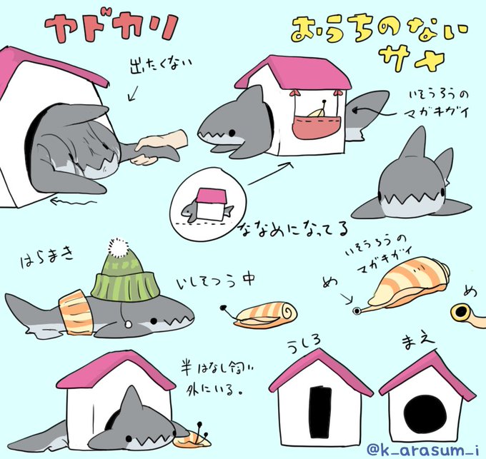 おうちのないサメ 